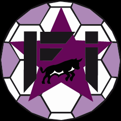 logo fanatics